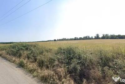 Teren de 127500 mp, în Forotic - 2