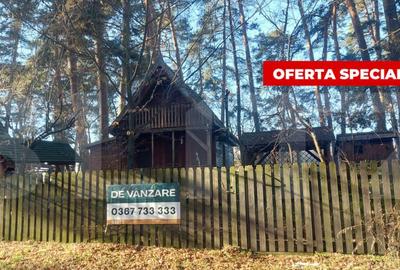Casu?a de vacan?a langa Lacul Reci lini?te, nat - 1