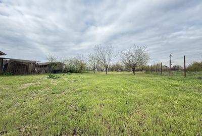 Snagov Izvorani casa locuibila cu livada de pomi fructiferi - 19