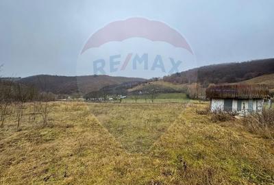 Teren extravilan de 3826 mp, în Moldovenești - 7