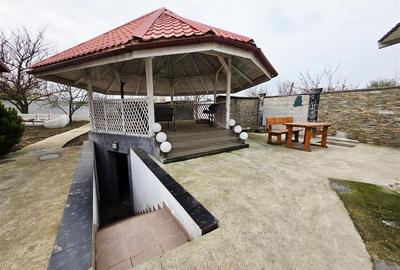 Vila, Cerneteaz, Teren Generos, Casa de Oaspeti, Beci, Garaj - 32