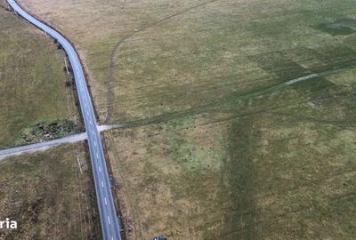 Spațiu comercial, în Central - 5