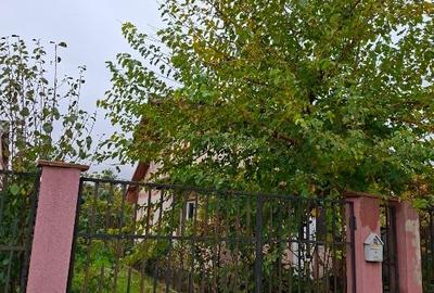 Casă de vânzare P+M  curte individuală in Varteju-Măgurele - 2