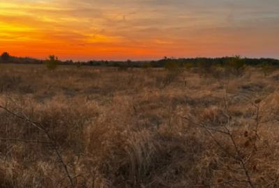 Teren de 5000 mp, în Brestei - 4