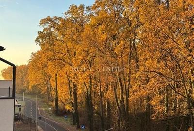 Apartament cu 2 camere - vedere la pădure| Ghiroda - 9