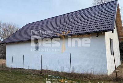 Casă cu 7 camere cu Teren 500 Mp în Ciritei - 9