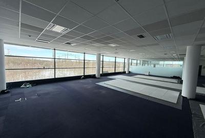 Birou, de 850 mp, în Băneasa - 1