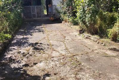 Casă cu 3 camere cu Teren 1079 Mp în Grădinari - 1