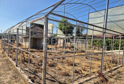 Casa cu teren impresionant in Targu Jiu - 2