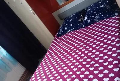 Apartament decomandat în Central - 12