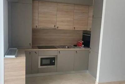 Apartament cu 3 camere, mobilat în Parcul Carol - 14
