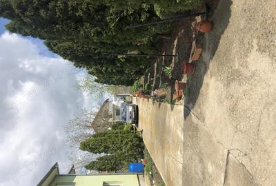 Casă cu 4 camere în Pădureni (Jebel) - 10