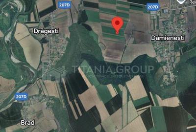 Teren de 10000 mp, în Dămienești - 3
