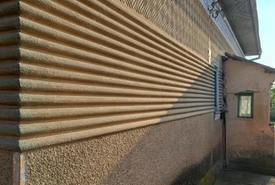 Vand casa cu 2500 mp teren curte - 5