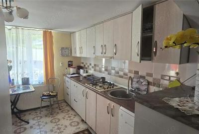 Casa renovata de vanzare Crainimat , BN cu teren 3148 mp - 12
