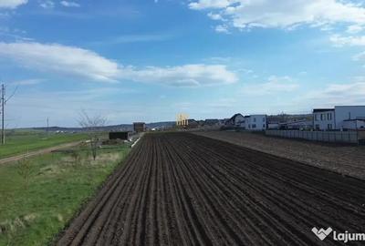 Teren în Tișăuți - 3