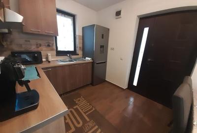 Baia Sprie, casa caramida, 9,4 ari teren - 7