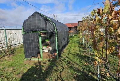 Vand teren 2000mp-Livada-Arad. - 7