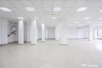 Spațiu comercial, de 250 mp, în Ferdinand - 13