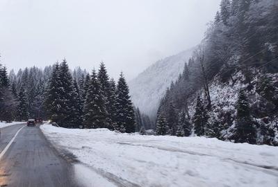 Teren de vanzare la munte pentru  cabana - 8