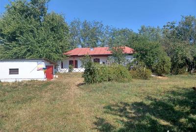 Casa Bila Ghimpati- Giurgiu - 5