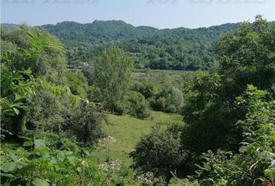 Teren 11230 m.p. Conac - necesita renovare - 3