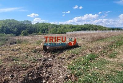 Teren intravilan 2100 mp de vanzare in Teleac la asfalt cu toate utilitatile - 1