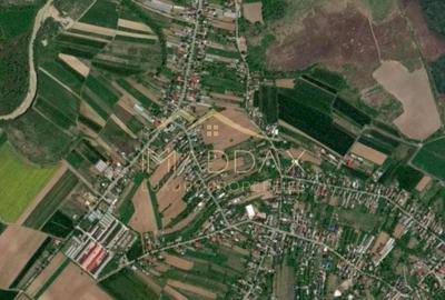 Teren Construcții intravilan de 4128 mp, în Gruiu - 1