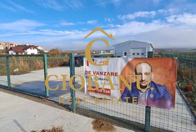 Hala de vanzare in Racarii de Jos - 2