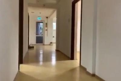 Imobil multifuncțional premium – 1.495 mp utili, pregătit pentru orice tip de - 7