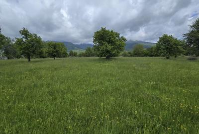Teren intravilan - 2 minute de centru Prundu Bargaului - 26 parcele - 2