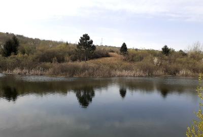 Teren de 6300 mp, în Tărlungeni - 9
