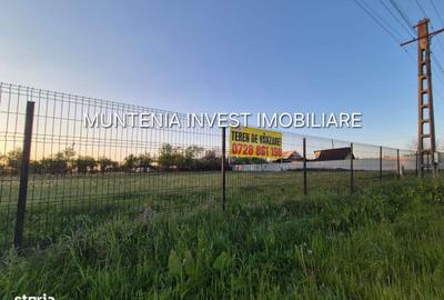 Spațiu comercial, în Poiana Lacului - 3