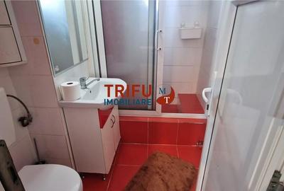 Apartament cu 3 camere decomandat în Cetate - 8