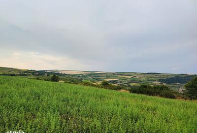 Teren de 1050 mp, în Iris - 2