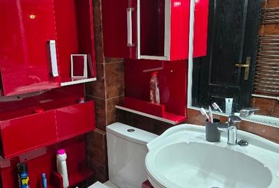 Apartament cu 2 camere semidecomandat, mobilat în City Park Mall - 8