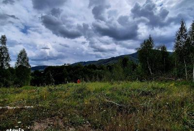 Teren de 3685 mp, în Șinca