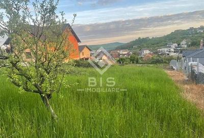 Teren de vanzare - Sigmir - 8