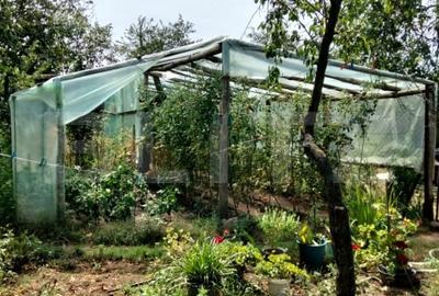 Casă individuală cu 4 camere cu Teren 2300 Mp în Vârvor - 2