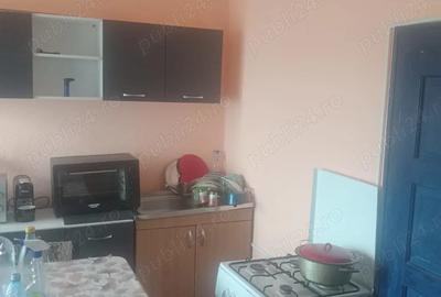 Casa de vanzare Benesti Sibiu - 10