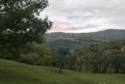 Teren de 4000 mp, în Moroeni - 4