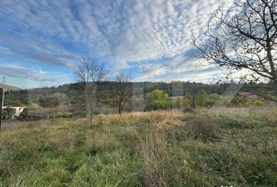 Teren de 1466 mp, în Bejan - 4