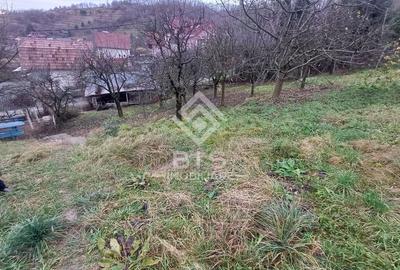 Teren intravilan 1300mp, Zona Valea Ghinzii - 2