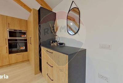 Apartament cu 2 camere semidecomandat, mobilat în Gruia - 5