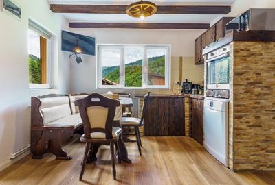 Cabana de vanzare -Marisel, 10 camere, terasa 41mp, piscina, ciubar - 32
