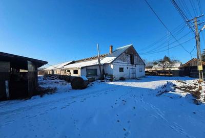 Teren de 452 mp, în Valea Crișului - 1