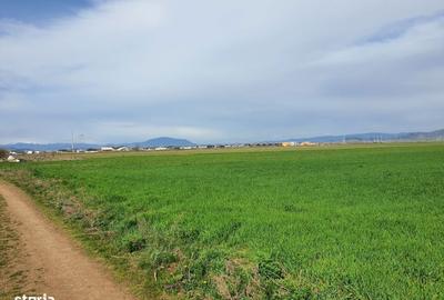 Spațiu comercial, în Central