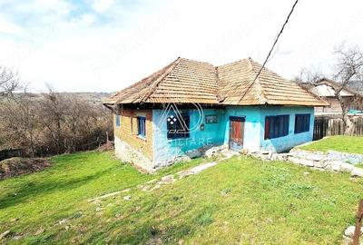 Casă cu 3 camere cu Teren 719 Mp în Baia de Fier - 2