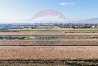 Teren Brasov -Strada Aron Pumnul, 520-1040-2600 mp, 5 loturi - 6