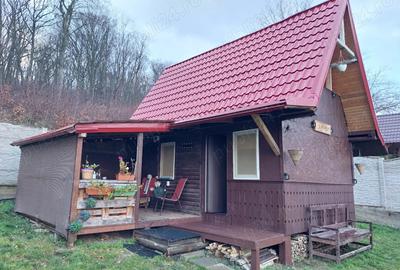 Cabana cu mansarda - 1